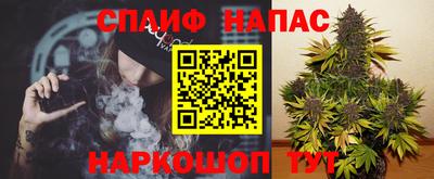 каннабис Камышлов
