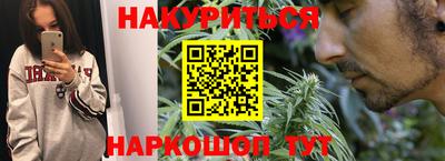 сатива Кандалакша
