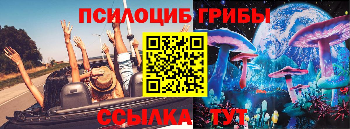 хочу наркоту  Галлюциногенные грибы прущие грибы  Вход с VPN  Куйбышев 