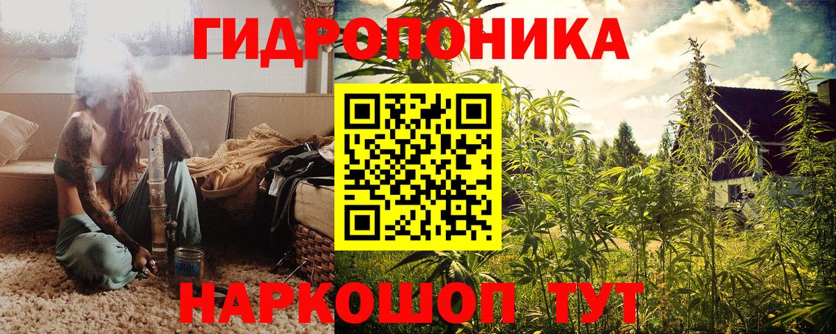 Конопля план  Вход с VPN  Куйбышев  Каннабис конопля  Бошки марихуана сатива 